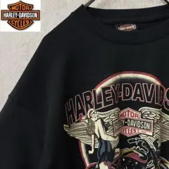 フルーツオブザルーム 両面デザイン スリーブロゴ ロンt 黒 2XL 小穴 