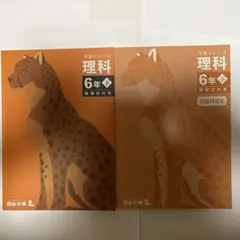 予習シリーズ 6年下 理科 (難関校対策)