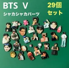 BTS V テテのシャカシャカパーツ　主に最近のテテバージョン　29個セット