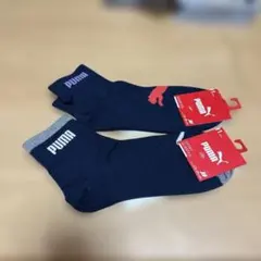 Item thumbnail for item 8ace05a1-e06e-45c6-b740-6c04d37f18af