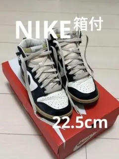 Nike WMNS Dunk High 