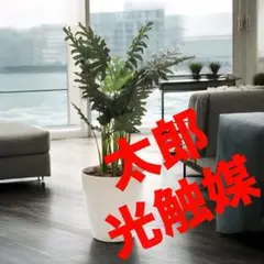 光触媒　人工観葉植物　ウォールグリーン　フェイクグリーン　フィロリーフ125