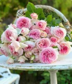 Item thumbnail for item 9a51144f-bbdd-4235-a67e-bb136b55d843