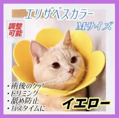 Item thumbnail for item 72cadc42-089f-4200-97bd-3365efff7a44