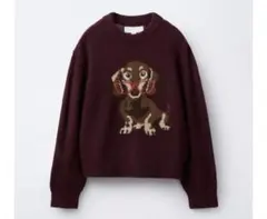 ZARA ニット 150cm XS