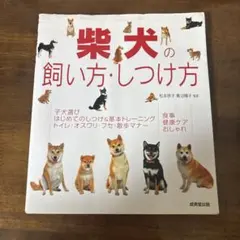 Item thumbnail for item e415d642-a489-4420-8d62-05ebfc6e81f1