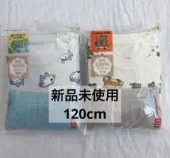 ユニクロ　長袖パジャマ　コットンパジャマ　11匹のねこ　こぐまちゃんえほん