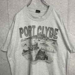 フルーツオブザルーム　90s USA製 シングルステッチ　風景　TシャツXL