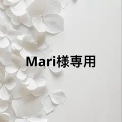 Mari様 リクエスト 2点 まとめ商品