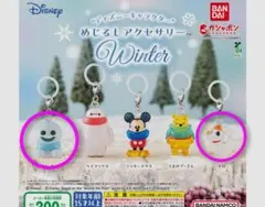 ディズニー めじるしアクセサリー Winter　ウインター　2個セット