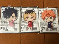 アクドールmini ハイキュー！！　音駒　黒尾　孤爪　日向　セット