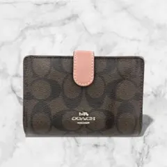 Item thumbnail for item a36cf018-9dde-453b-a0b1-b536bd0429a3