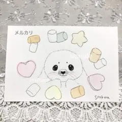 原画　水彩画　アザラシ　マシュマロ　ポストカード　手描きイラスト　アナログ