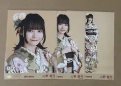 乃木坂46 生田絵梨花 桜井玲香 衛藤美彩 アオザイ - メルカリ