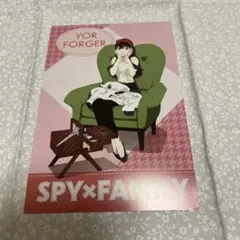SPY×FAMILY ヨル・フォージャー ポストカード