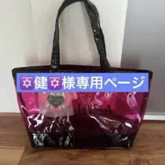 当時物リズリサドールビニールバッグのサムネイル