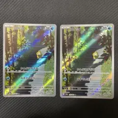 【AR】コダック ２枚セット　SV2a 175/165