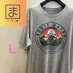 【EDDIE BAUER】エディーバウアー プリントＴシャツ グレー レア