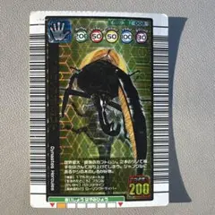 ダイナステス・ヘルクレス 昆虫カード