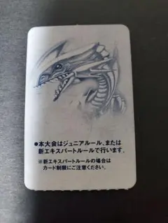 遊戯王 デュエリストトーナメント エントリーカード 参加希望者 控え