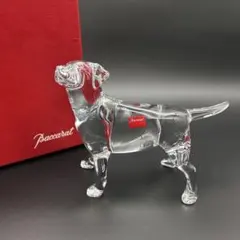 【新品・未使用級】バカラ クリスタル ラブラドール　フィギュアリン　犬　ドッグのサムネイル