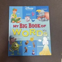 My Big Book of Words Sticker Book DWE - メルカリ