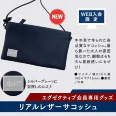 中日ドラゴンズDragonsXNEW ERA トートバッグ エグゼクティブ会員 中日ドラゴンズDragonsXNEW ERA トートバッグ エグゼクティブ
