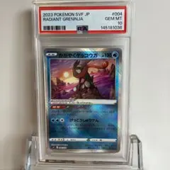 ポケモンカードPSA10 ディンルーex SAR SV2D 094/071 - メルカリ