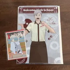 ハイキュー!! 灰羽リエーフ