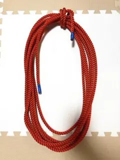 Item thumbnail for item 76339c7d-225c-47b8-81fc-ac3b1452f261