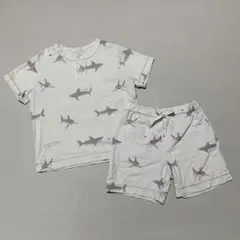 ジェラートピケ　シャーク　セットアップ