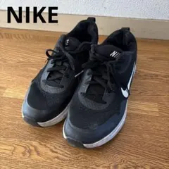 NIKE CJ1682-004 ウェアオールデイ　25.5のサムネイル
