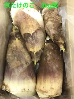 るるべ様　京都山城産　朝掘り筍訳あり4kg るるべ様 京都山城産 朝掘り筍訳あり4kg - メルカリ