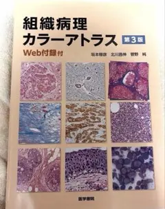 ●裁断済 組織病理カラーアトラス 第3版 医学書院 ○裁断済 組織病理カラーアトラス 第3版 医学書院 - メルカリ