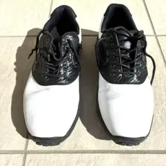 Item thumbnail for item 038131e4-3d39-4858-94e4-978913f8d76e