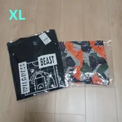 Item thumbnail for item 8ccce60b-86f6-4e8d-addd-1e57e29ee0b5