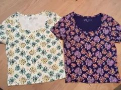 ユニクロ　ポール&ジョー　Tシャツ　S