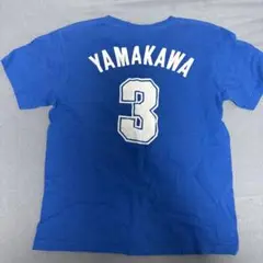 山川穂高 応援グッズ