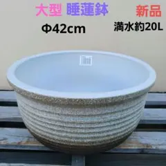 新品 ∅43 陶器 睡蓮鉢 大型 難有 メダカ鉢 水色 スカイブルー 高級MWC