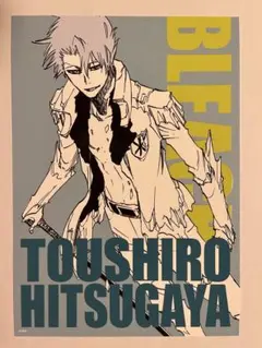 BLEACH 727 日番谷冬獅郎 アートカード クリアビジュアルポスター