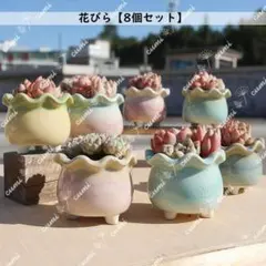 N0322【韓国】 3号 8個セット 花びら 窯変 貫入 浮彫 植木鉢 室内