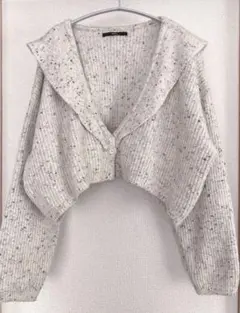 【Kastane 】襟付きクロップドカーディガン フリー