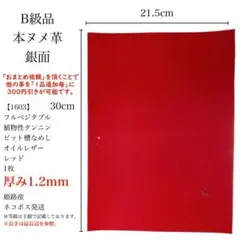 Item thumbnail for item 865258be-6474-4734-8347-ea944d40b16f