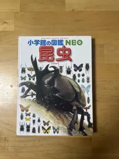 小学館の図鑑NEO 昆虫