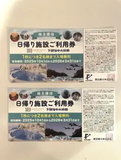 藤田観光　日帰り施設ご利用券2枚(4名分)