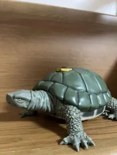 ココジャンボ