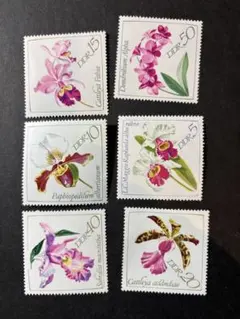 外国切手　東ドイツラン科の花 切手 6枚セット