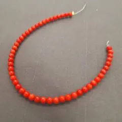 コーラル　4㎜　約17㎝　No.736