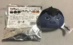 ハイキュー!! トレーディング動物マスコットミニビーズクッション　影山飛雄
