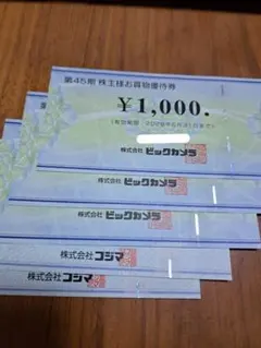 ビックカメラコジマ株主優待券5000円分